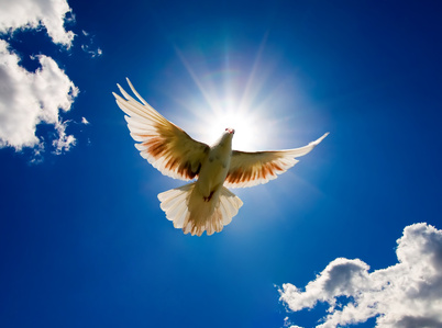 4. "El Espíritu Santo es Nuestro Poder" – Hechos 1:8